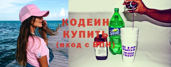 спиды Ельня