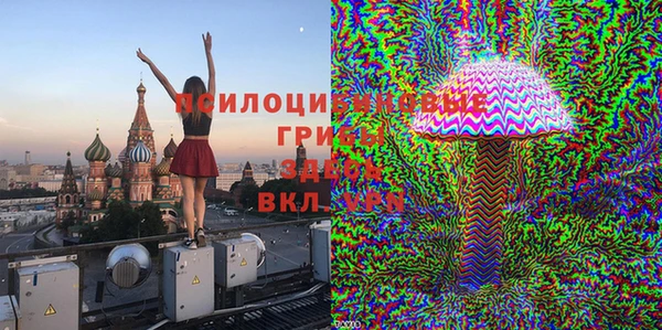 МДПВ Елизово