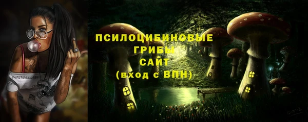 МДПВ Елизово