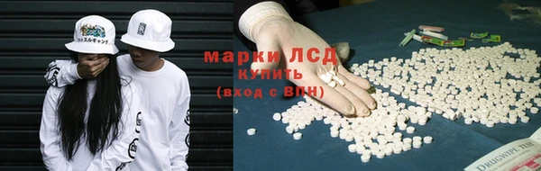 спиды Ельня