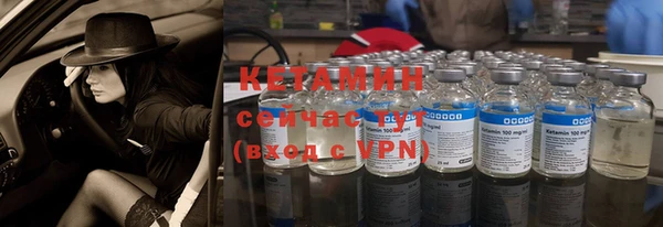 спиды Ельня