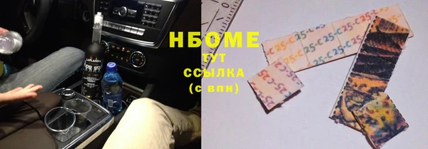 спиды Ельня