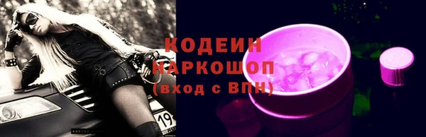 спиды Ельня