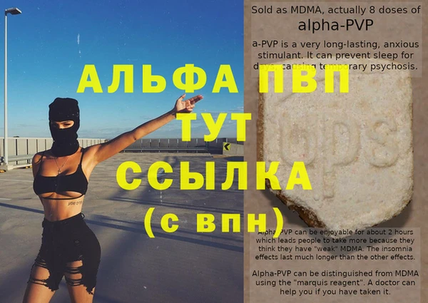 спиды Ельня