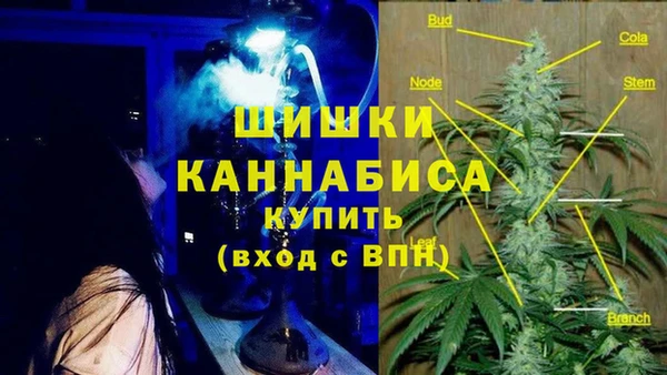 шишки Шадринск