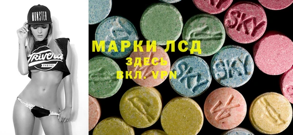 спиды Ельня