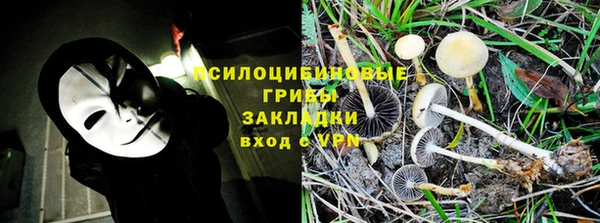 спиды Ельня