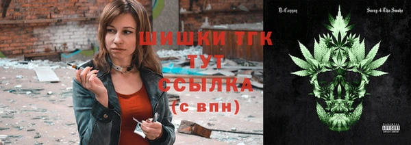 шишки Шадринск