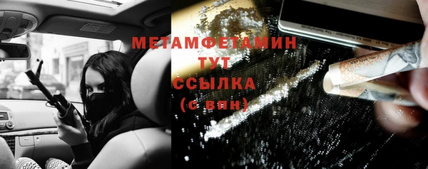 шишки Шадринск
