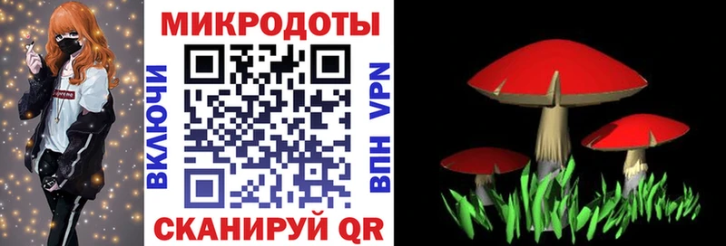Галлюциногенные грибы Magic Shrooms  Чаплыгин 